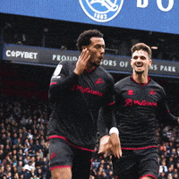 The Den Hug GIF by MillwallFC