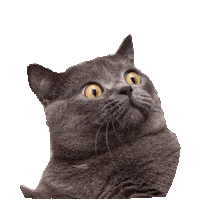 dafuq STICKER by imoji