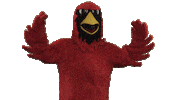 calverthallcollege cardinals loud roof louder Sticker