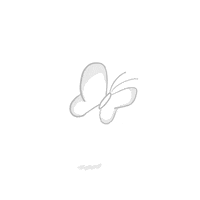 animation flying GIF by hoppip