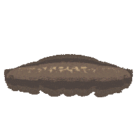 Kecap Manis Sedaap Sticker by Kecap ABC