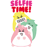 happy picture Sticker by hamsta.world