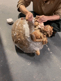 Indie Studio GIF by Alex Boya