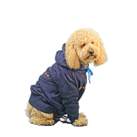PetsBest dog puppy pet doodle Sticker
