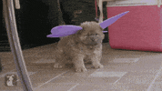 ok GIF