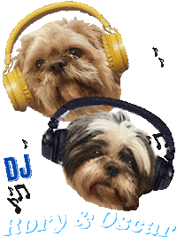 Dj Dog Sticker