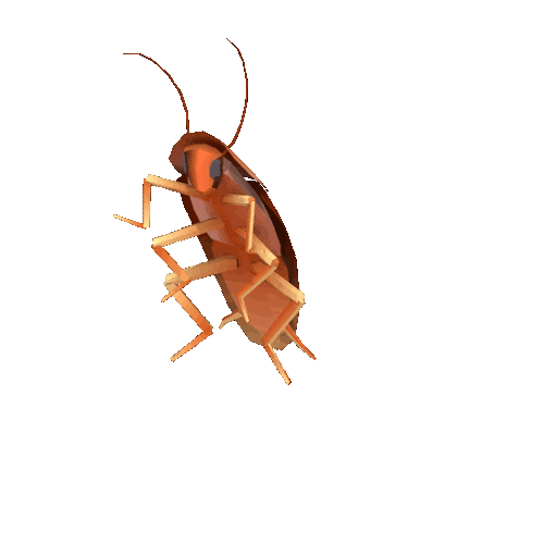 Cockroach Roaches Sticker by MOODMAN