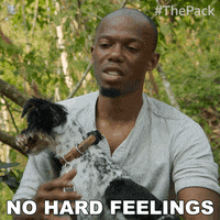The Pack Dog GIF by Amazon Prime Video