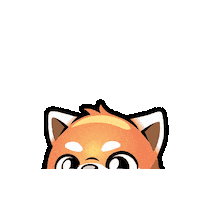 Red Panda Sticker by Valley Zoo Development Society