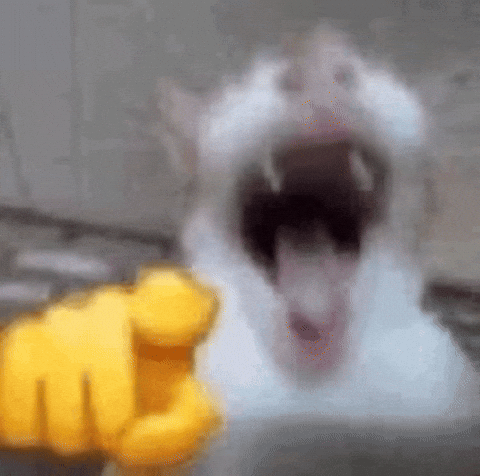 Cat Emoji GIF