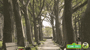 sesame street hello GIF by PBS KIDS