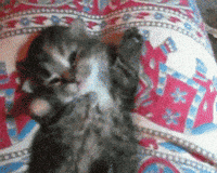 Baby Buenos Dias GIF by Good Morning GIFs