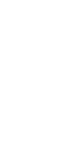 Recording Palm Tree Sticker by Spell & The Gypsy Collective