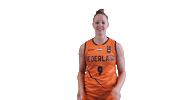 NLbasketball orangelions Sticker