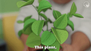 This Plant Is Your Responsibility 