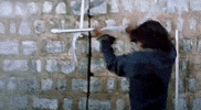 Boss Prema GIF