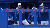 Hold It GIF by Toronto Blue Jays