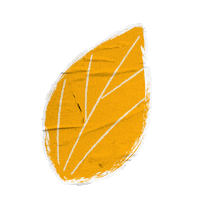 Orange Leaves Sticker by Extrafruti
