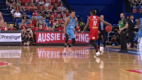 Bryce Cotton GIF by Perth Wildcats