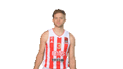 Nate Kkcz Sticker by BC Crvena zvezda