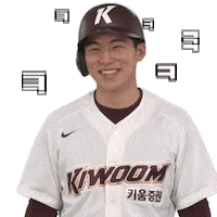 Heroes3 Sticker by Kiwoom Heroes Baseball Club