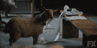 business fx GIF by BasketsFX