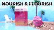 voeshny vegan nails clean spa GIF