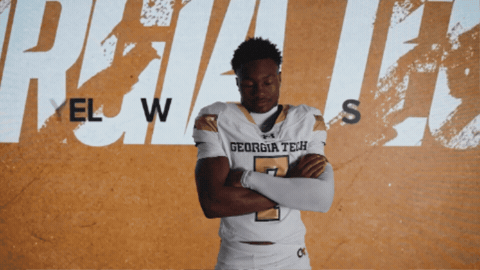 Georgia Tech Football GIF by Georgia Tech Yellow Jackets