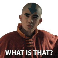What Is That Avatar The Last Airbender Sticker by NETFLIX