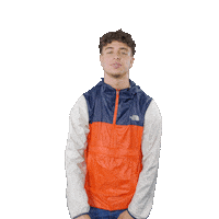 v peace Sticker by Universal Music