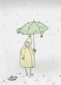 My_E animation bird rain frog GIF