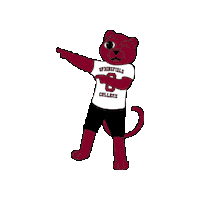 Mascot Spirit Sticker by Springfield College
