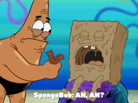 season 6 GIF by SpongeBob SquarePants