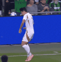 Vamos Lets Go GIF by Major League Soccer
