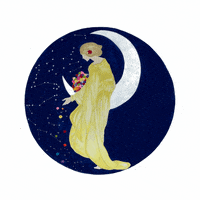 MoonshadowFest moonshadow moonshadowfestival moonshadowfest moonshadow fest GIF