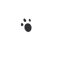 laetitia_illustration pets steps pas moving on Sticker