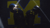 Go Blue Michigan Football GIF by Michigan Athletics