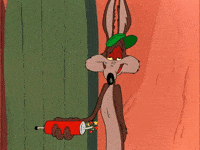 Wile E Coyote Oops GIF by Looney Tunes