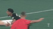 Happy Football GIF by SK Sturm Graz