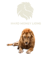 Lion King Sticker by Yanni Raz