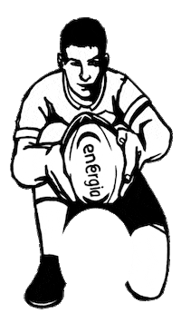 Ireland Rugby Sticker by Energia