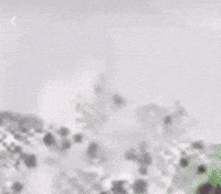 O GIF