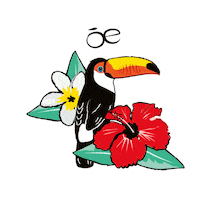 Art Summer Sticker by Cloe MX