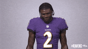 Football Smile GIF by Baltimore Ravens