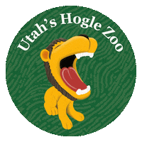 Leo The Lion Sticker by Hogle Zoo