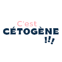 cetococotte keto low carb ketogenic lchf Sticker