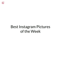 GIF by OnePlus
