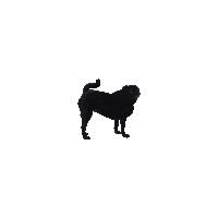 JasonKauz pepe pug pepethepug Sticker