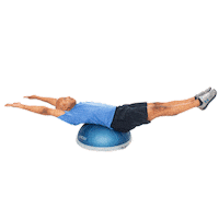 Fitness Workout Sticker by BOSU®