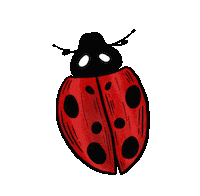 Summer Fly Sticker